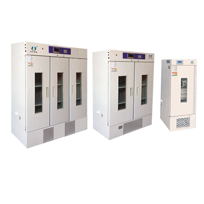 Albert Einstein Or Even Further Back To Abraham Lincoln 